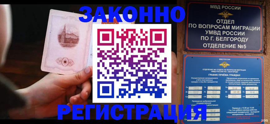 прописка 2025 в Вельске